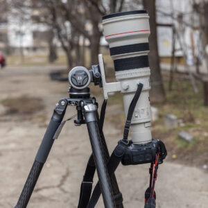 BENRO-MAMMOTH-TMTH44C-WH15-Wildlife_7