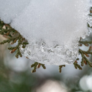 Sony-FE-90mm-f-2.8-Macro-G-OSS-15