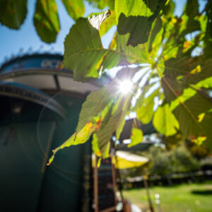 Venus-Optics-LAOWA-6-mm-f2-Zero-D-MFT_11