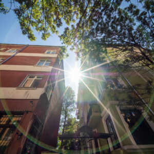 Venus-Optics-LAOWA-6-mm-f2-Zero-D-MFT_4