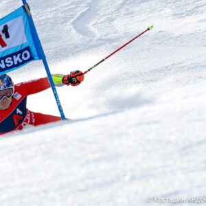 Canon-RF-200-800mm_3