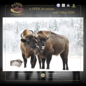 IPS_Plovdiv_2024_is_Open_6