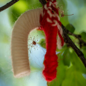 Laowa-100mm-f-2.8-2X-Ultra-Macro-APO_3