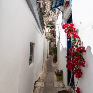 Tamron-20mm-f-2.8-10