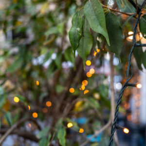 Tamron-24mm-f-2.8-14