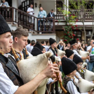 Nikkor-Z-40mm-f-2_17