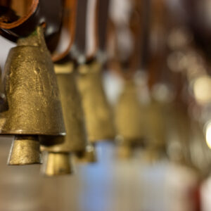 Nikkor-Z-40mm-f-2_19