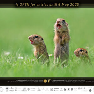 12th_IPS_Plovdiv_2024_is_OPEN_10