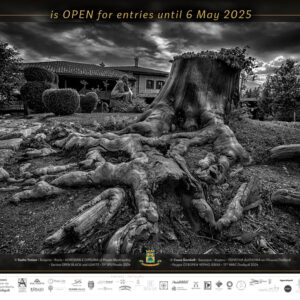 12th_IPS_Plovdiv_2024_is_OPEN_2