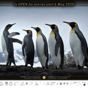 12th_IPS_Plovdiv_2024_is_OPEN_8