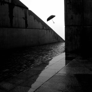 Bojidar-Genkov-Silent levitation