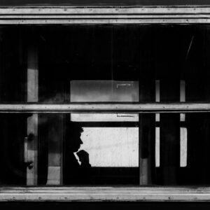 Bojidar-Genkov-The-passenger